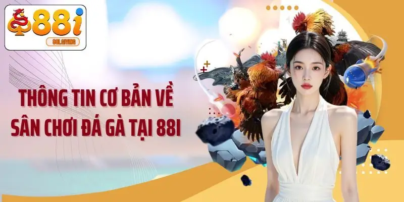 Thông tin cơ bản về sân chơi đá gà tại 88I